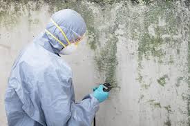 Forensic Mold Investigation in Lancaster, KY